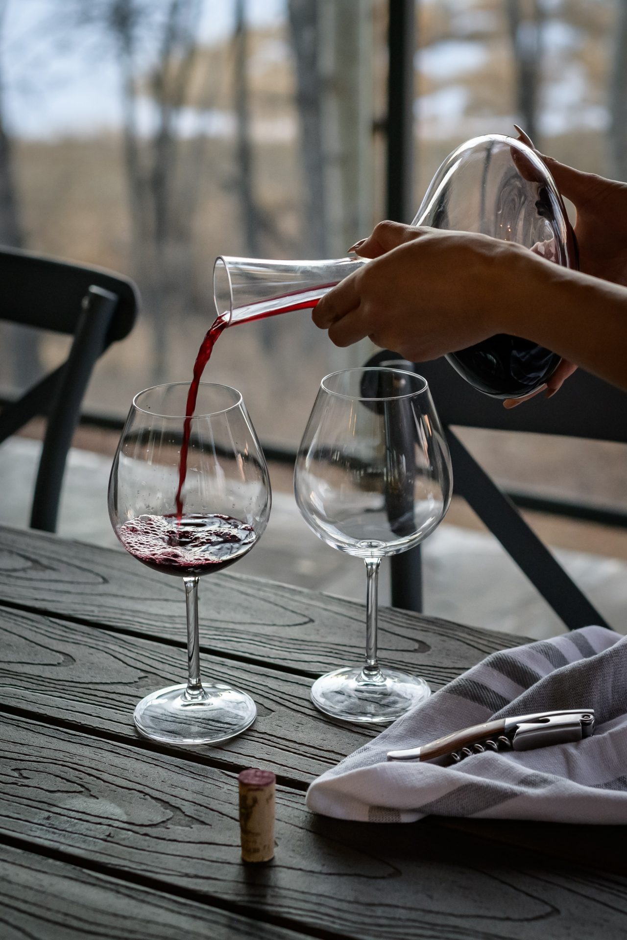 Vinprovning grund rött vin kort 2 viner